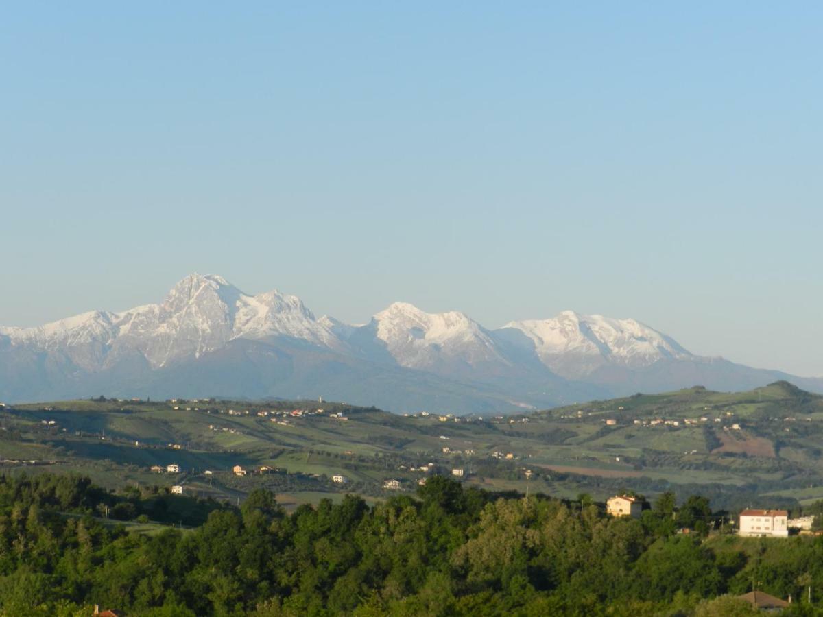 Il Gruccione Bed and Breakfast Sant'Omero Buitenkant foto